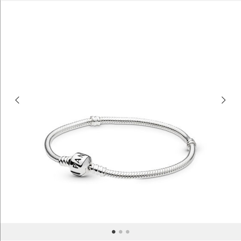 NWT Pandora Bracelet